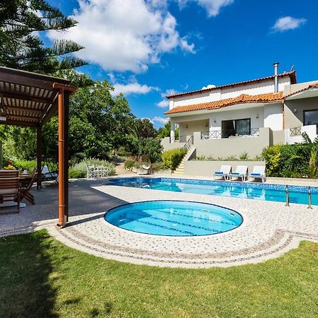 Alonia Villa, Refined Living With 50M2 Private Pool, By Thinkvilla Melidhonion  Экстерьер фото